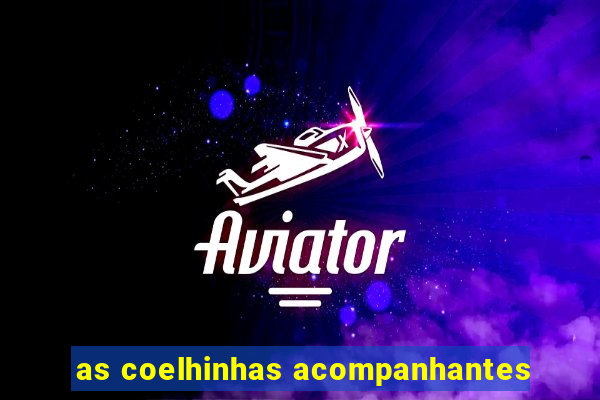 as coelhinhas acompanhantes